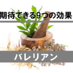 【徹底解説】バレリアンに期待できる効果を試験データから分析