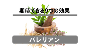 【徹底解説】バレリアンに期待できる効果を試験データから分析
